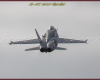 3GLOVELIER 0539